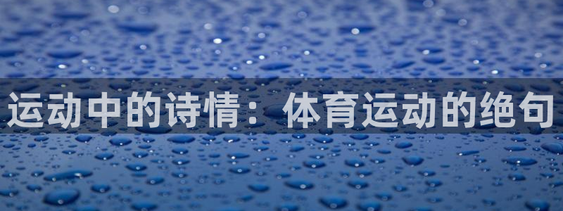 哈哈体育