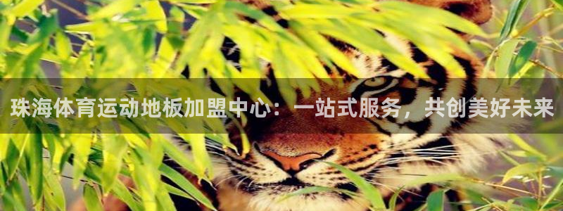 哈哈体育下载