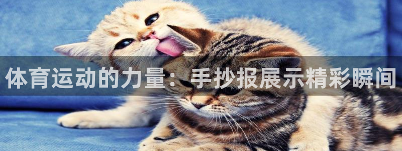 哈哈体育十年