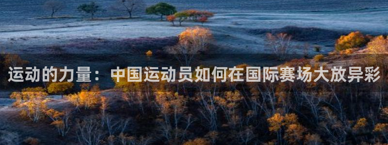 哈哈体育下载：运动的力量：中国运动员如何在国际赛场大放异彩