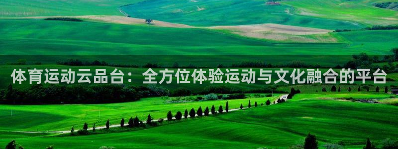 哈哈体育下载：体育运动云品台：全方位体验运动与文化融合的平台