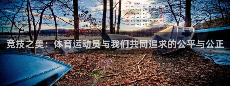 哈哈体育十年：竞技之美：体育运动员与我们共同追求的公平与公正