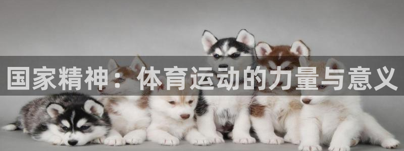 哈哈体育下载：国家精神：体育运动的力量与意义