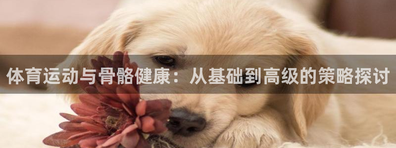 哈哈体育：体育运动与骨骼健康：从基础到高级的策略探讨