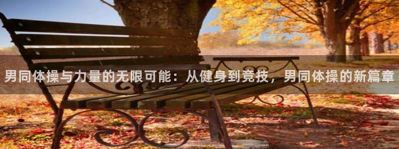 哈哈体育下载：男同体操与力量的无限可能：从健身到竞技，男同体操的新篇章