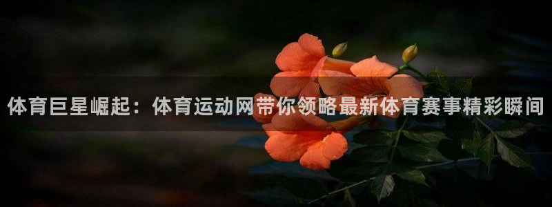 哈哈体育十年：体育巨星崛起：体育运动网带你领略最新体育赛事精彩瞬间