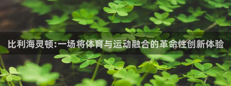 哈哈体育：比利海灵顿:一场将体育与运动融合的革命性创新体验