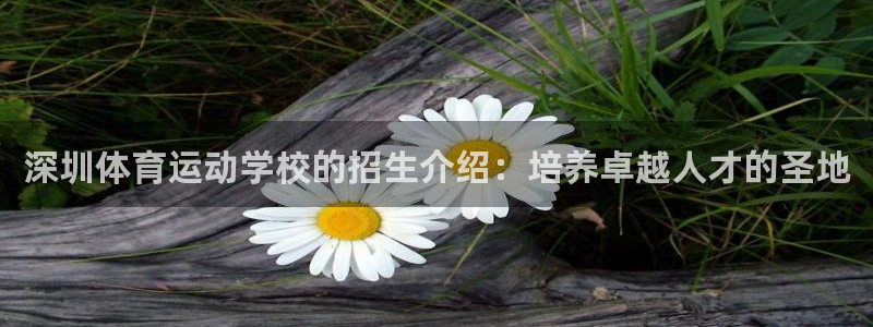 哈哈体育十年：深圳体育运动学校的招生介绍：培养卓越人才的圣地